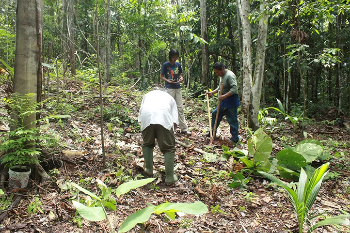 colaboracion-pobladores-faver